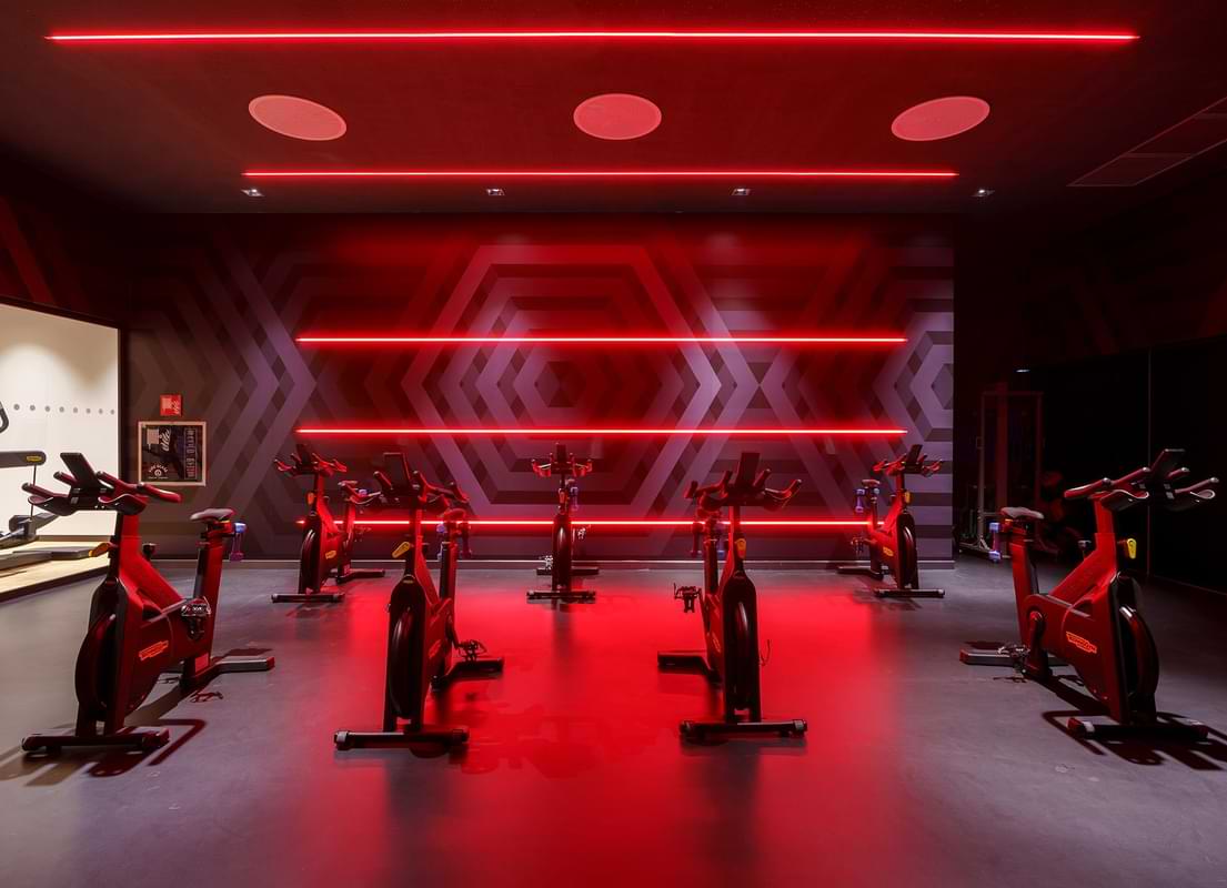 Studio Cycle